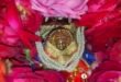 काशीपुर :ढोल नगाड़े व माता के जयकारों के साथ मां बाल सुंदरी देवी की प्रतिमा चैती मेला स्थित मंदिर में पहुंची, देखिए वीडियो