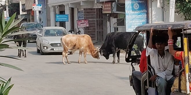 काशीपुर :36 सेकेंड का ये वीडियो देखने में सामान्य लेकिन संभावित भयानक दुर्घटना का कारण हो सकता है, देखिए वीडियो