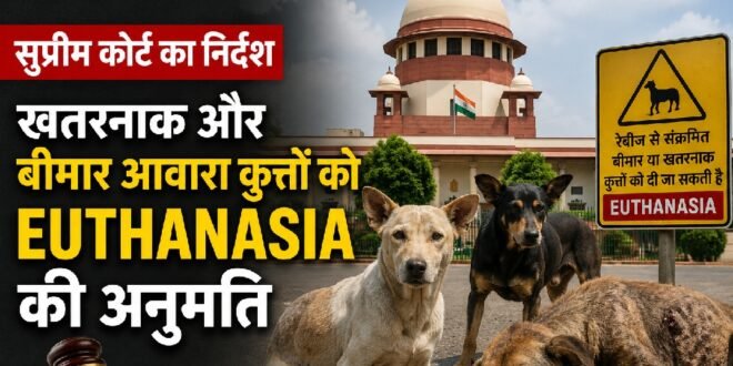 खतरनाक और बीमार आवारा कुत्तों को दया मृत्यु (euthanasia) की अनुमति, सुप्रीम कोर्ट का अहम निर्देश
