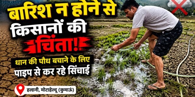 हल्द्वानी: कुमाऊं में मानसून की देरी से बढ़ी किसानों की चिंता, धान की पौध बचाने के लिए पाइप से करनी पड़ रही सिंचाई