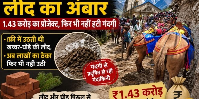 केदारनाथ यात्रा मार्ग पर घोड़े-खच्चरों की लीद बनी बड़ी समस्या, 1.43 करोड़ का प्रोजेक्ट शुरू होने से पहले ही सवालों के घेरे में