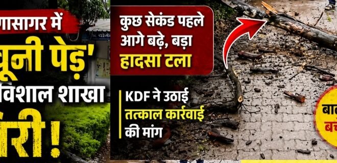 काशीपुर :द्रोणासागर में  “खूनी पेड़” की विशाल शाखा गिरी, बड़ा हादसा टला; केडीएफ ने तत्काल कार्रवाई की मांग उठाई