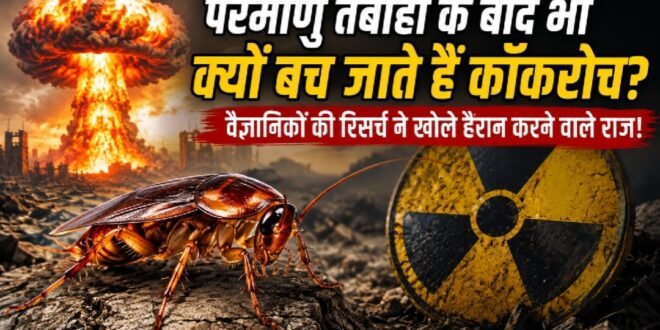 परमाणु तबाही के बाद भी कैसे बच जाते हैं कॉकरोच? वैज्ञानिकों की रिसर्च ने खोले चौंकाने वाले राज